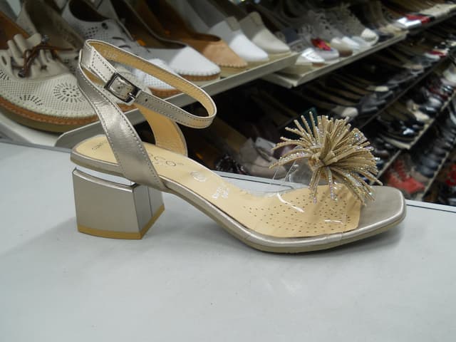 DSCN2510.jpg