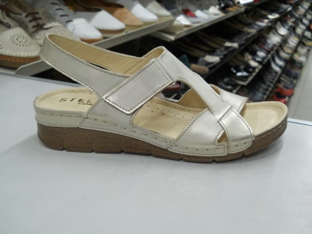 DSCN2557.jpg